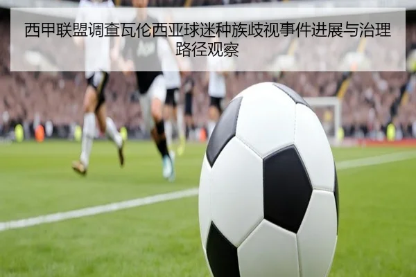 西甲联盟调查瓦伦西亚球迷种族歧视事件进展与治理路径观察